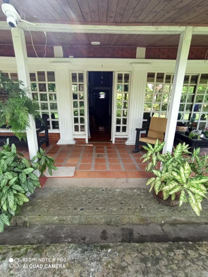Villa Monica Montenegro Exterior photo